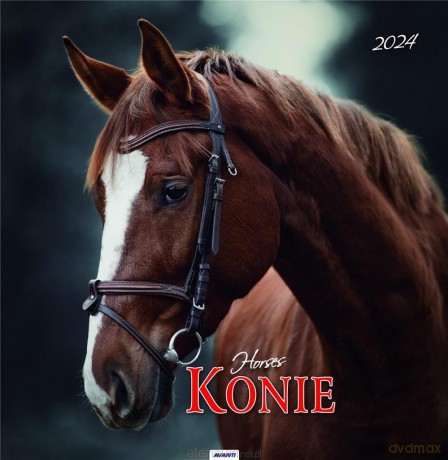 Kalendarz 2024 Ścieny Konie [KALENDARZ]