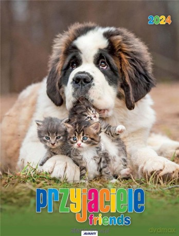 Kalendarz 2024 Ścieny Przyjaciele [KALENDARZ]