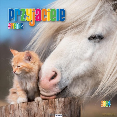 Kalendarz 2024 Ścieny Przyjaciele [KALENDARZ]