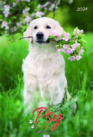 Kalendarz 2024 Ścieny Psy [KALENDARZ]