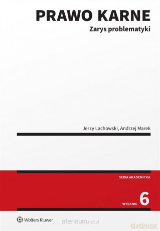 Prawo karne. Zarys problematyki w.6 - Jerzy Lachowski, Andrzej Marek [KSIĄŻKA]