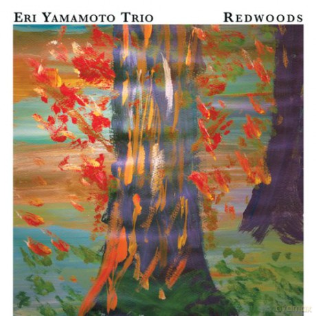 Yamamoto, Eri Trio (D. Ambrosio, I. Takeuchi): Redwoods [CD]