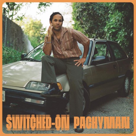 Pachyman: Switched-On [Winyl]