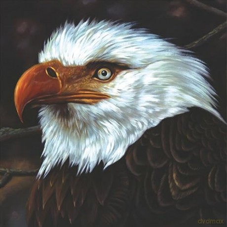Mogwai: The Hawk Is Howling (White) [2xWinyl]