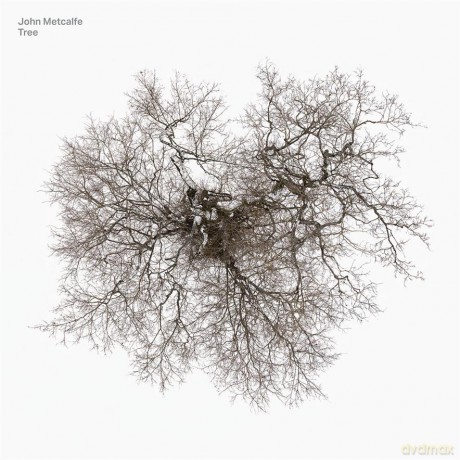 John Metcalfe: Tree [Winyl]