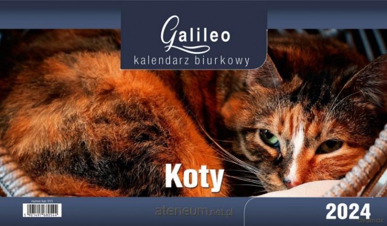 Kalendarz 2024 Biurkowy Galileo Koty [KALENDARZ]