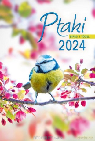 Kalendarz 2024 Wieloplanszowy Ptaki [KALENDARZ]