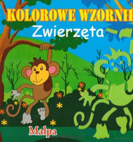Książeczka kolorowe wzorniki MIX [KSIĄŻKA]