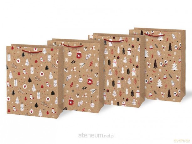 Torebka na prezent BN L Lux 260x320x138