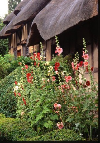 Earbooks: A Garden Rhapsody, Fotobildband Inkl. 4 Musik Cds (Earbook) [5CD]