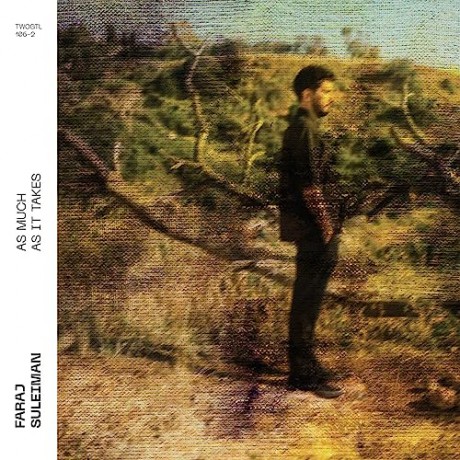 Suleiman,Faraj: As Much As It Takes [CD]