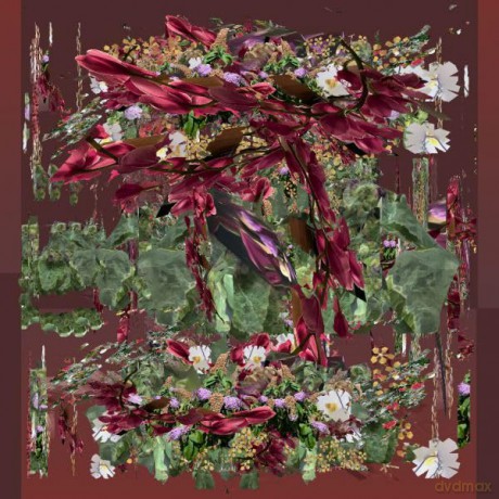 Nelson Beer: Chorus [CD]