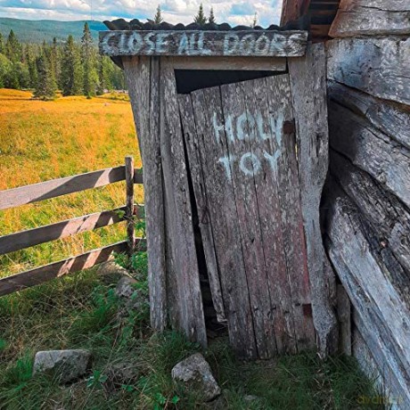Holy Toy: Close All Doors (Vinyl Lp) [CD]