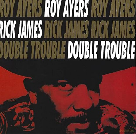 Ayers,Roy: Double Trouble [CD]