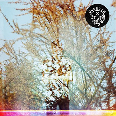 Quentin Suavé: Enjoy The View [CD]