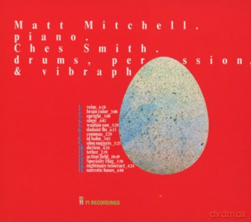 Mitchell,Matt: Fiction [CD]