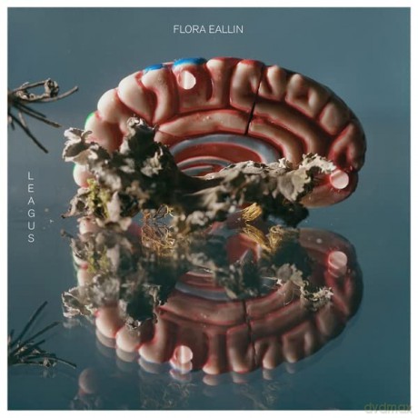 Leagus: Flora Eallin [CD]