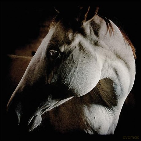 Brother Dege: How To Kill A Horse (Digisleeve) [CD]