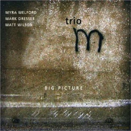 Trio M (Myra Melford, Mark Dresser, Matt Wilson): Big Picture [CD]