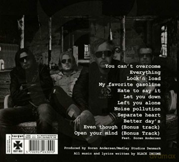 Black Income: Noise Pollution [CD]
