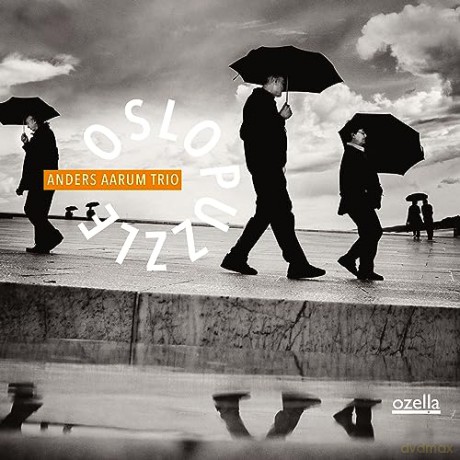 Anders Aarum: Oslo Puzzle [CD]