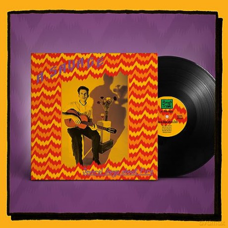 A. Savage: Several Songs About Fire [CD]