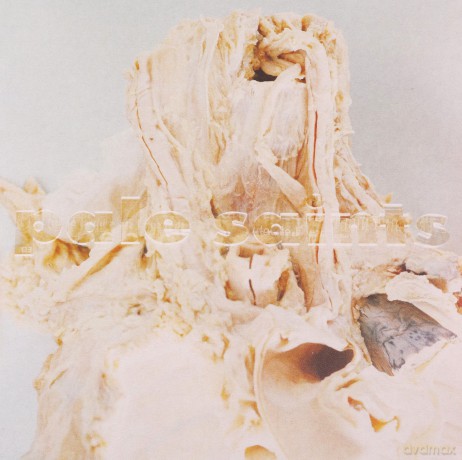Pale Saints: In Ribbons (30th Anniversary) [CD]