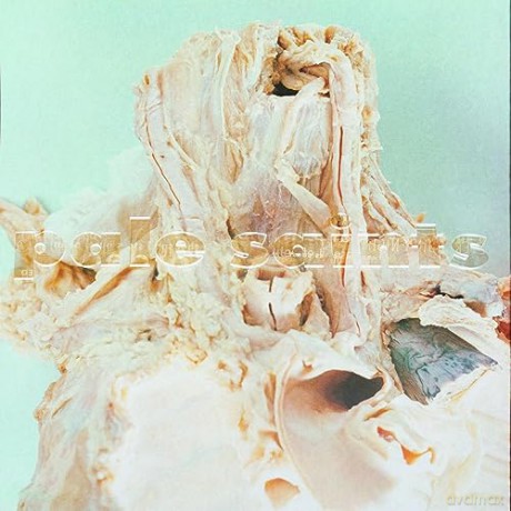 Pale Saints: In Ribbons (30th Anniversary) [Winyl]