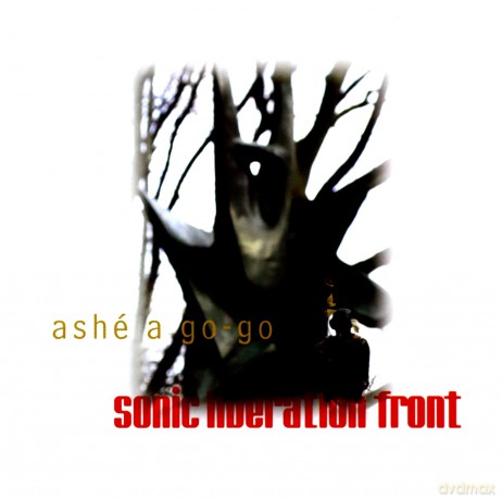 Sonic Liberation Front (K. Diehl, C. Joseph, A. Gonzalez, T. Lawson, J. Berrios, D. Scofield, A. Jenkins, K. Brown): Ashe a Go-Go [CD]