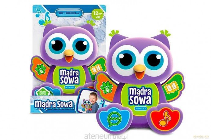 Mądra sowa