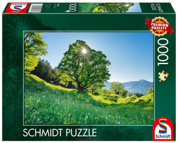 SCHMIDT 1000 el. Góra Ahorn, Szwajcaria [PUZZLE]