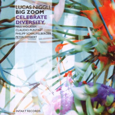 Niggli, Lucas Big Zoom (N. Wogram, P. Schaufelberger, C. Puntin, P. Herbert): Celebrate Diversity [CD]