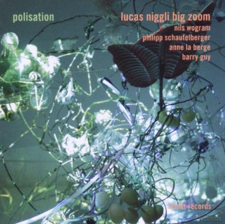 Niggli, Lucas Big Zoom (N. Wogram, P. Schaufelberger, A. La Berge, B. Guy): Polisation [CD]