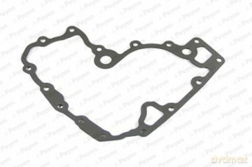 Uszczelka, rura wylotowa Payen KK5597 Fiat