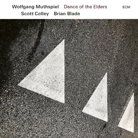 Muthspiel Wolfgang: Dance Of The Elders [Winyl]