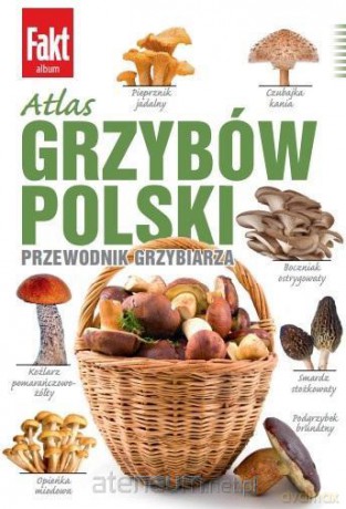 Atlas grzybów Polski - Marek Snowarski [KSIĄŻKA]