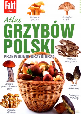 Atlas grzybów Polski - Marek Snowarski [KSIĄŻKA]