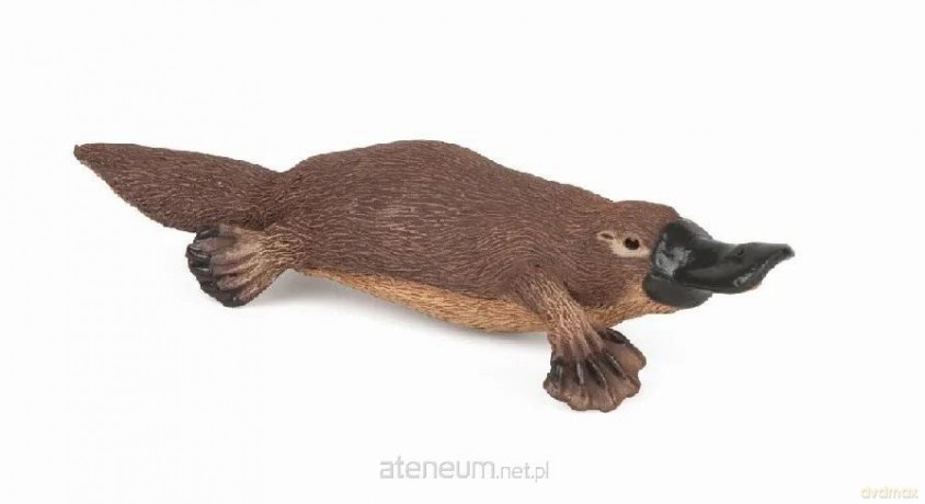 Dziobak australijski [FIGURKA]