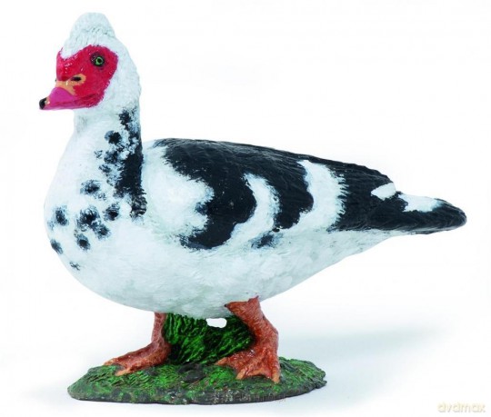 Kaczka Piżmówka [FIGURKA]