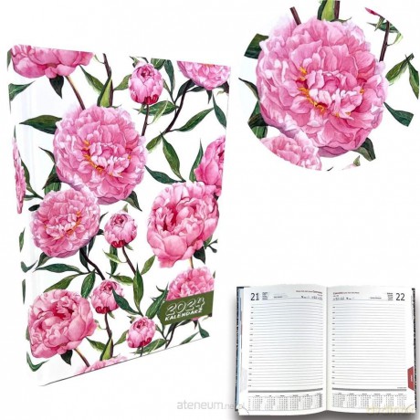 Kalendarz 2024 A5 dzienny sb/nd osobno Peonie [KALENDARZ]