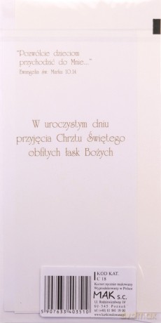 Karnet Chrzest DL C18 - Krzyż kwiaty róż