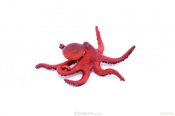 Ośmiornica młoda [FIGURKA]