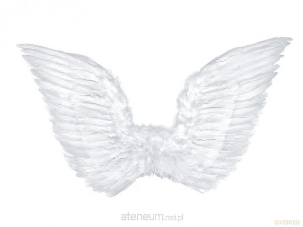Skrzydła anioła 75x45cm