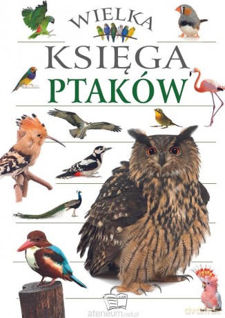 Wielka Księga Ptaków [KSIĄŻKA]