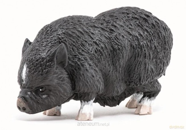 Wietnamska świnia zwisłobrzucha [FIGURKA]