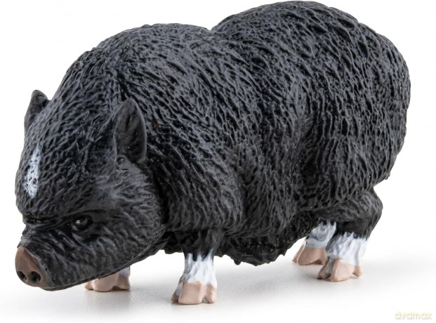 Wietnamska świnia zwisłobrzucha [FIGURKA]