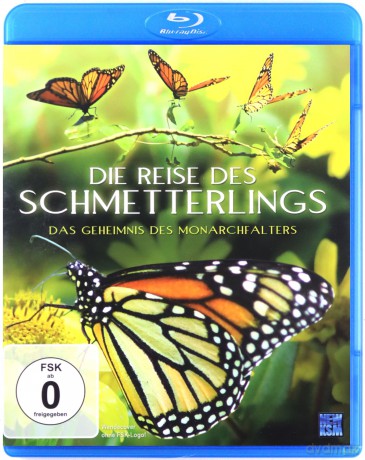 Die Reise des Schmetterlings [Blu-Ray]