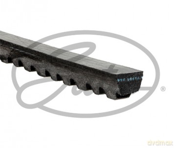 Gates AVX13X775HD Pasek klinowy Renault Nissan Ford Volvo Mazda Hyundai