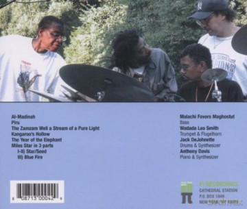 Wadada Leo Golden Quartet Smith's (A. Davis, M. Favors, J. DeJohnette): The Year of the Elephant [CD]