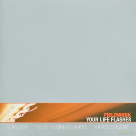 Fieldwork (Vijay Iyer, Elliot Humberto Kavee, Aaron Stewart): Your Life Flashes [CD]